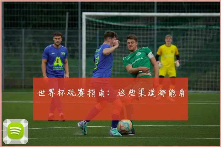 世界杯观赛指南：这些渠道都能看