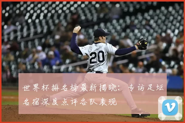 世界杯排名榜最新揭晓：专访足坛名宿深度点评各队表现