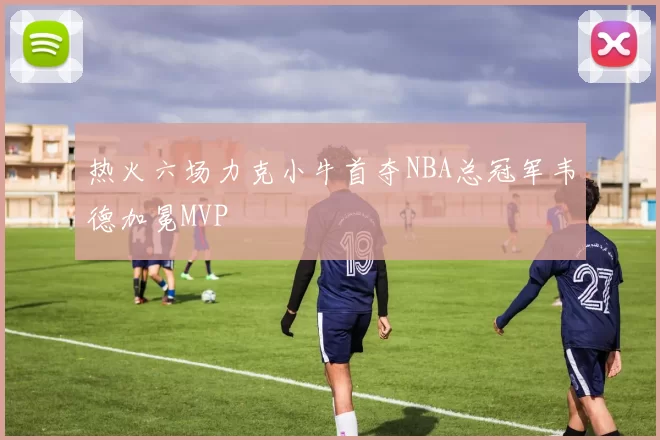 热火六场力克小牛首夺NBA总冠军韦德加冕MVP