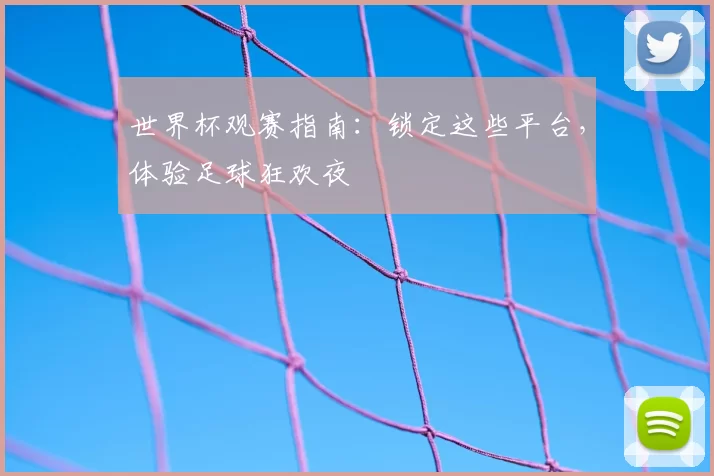 世界杯观赛指南:锁定这些平台,体验足球狂欢夜