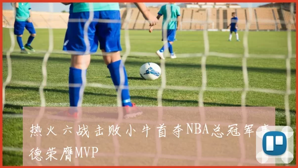 热火六战击败小牛首夺NBA总冠军韦德荣膺MVP