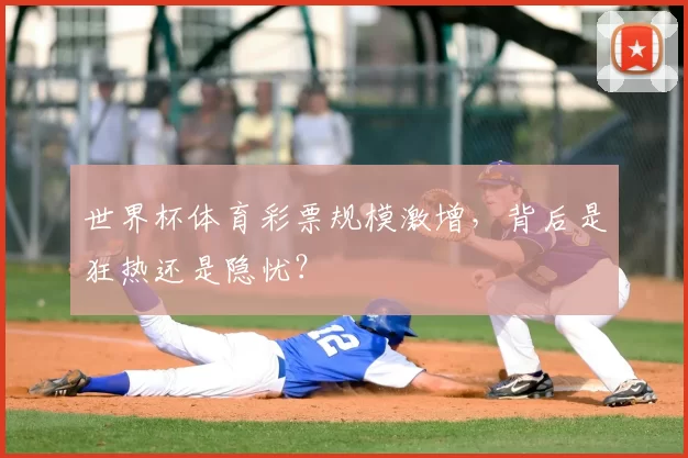 世界杯体育彩票规模激增，背后是狂热还是隐忧？