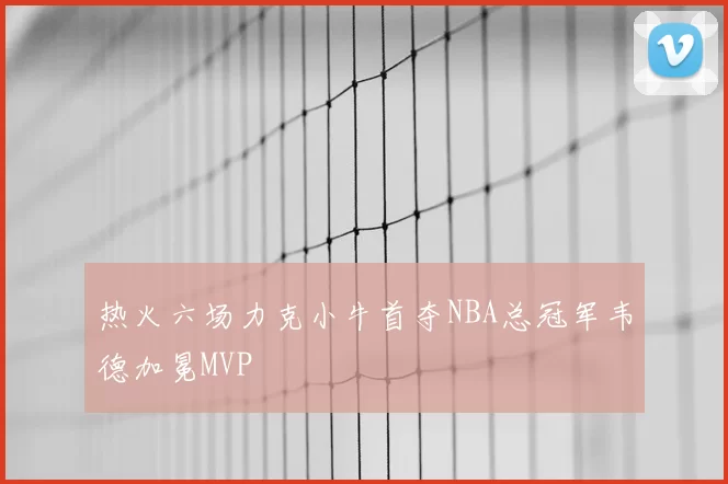 热火六场力克小牛首夺NBA总冠军韦德加冕MVP