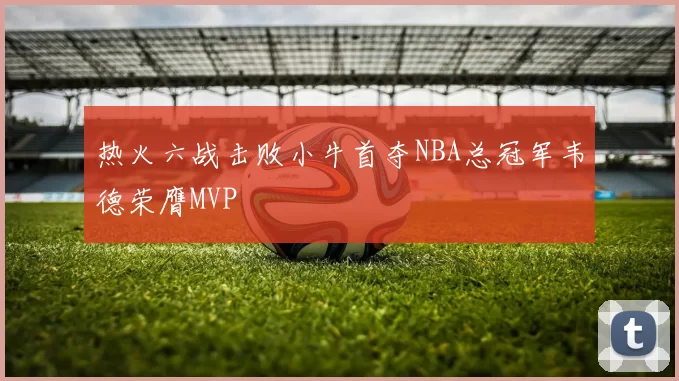 热火六战击败小牛首夺NBA总冠军韦德荣膺MVP