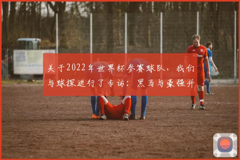 关于2022年世界杯参赛球队，我们与球探进行了专访：黑马与豪强并存