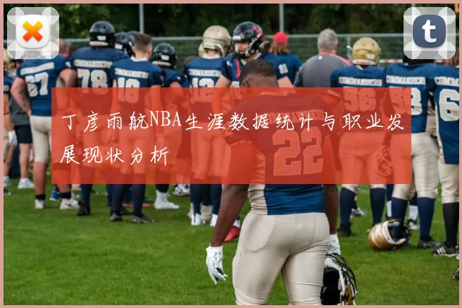 丁彦雨航NBA生涯数据统计与职业发展现状分析