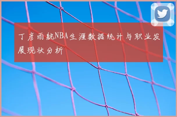 丁彦雨航NBA生涯数据统计与职业发展现状分析