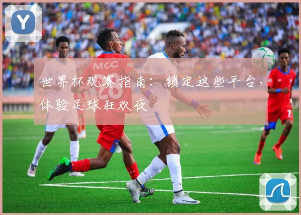 世界杯观赛指南:锁定这些平台,体验足球狂欢夜